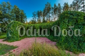 Аренда дома посуточно Белогородка,с бассейном! - кусты